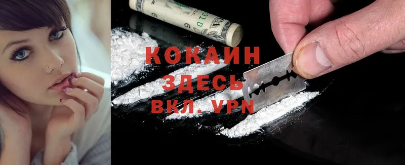 Cocaine 99%  купить  цена  Лысково 